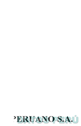 CONSORCIO NAVIERO PERUANO S.A.