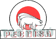PECHISA