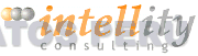INTELLITY CONSULTING