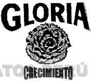 GLORIA CRECIMIENTO