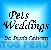 PETS WEDDINGS DE: INGRID CHAVARRI