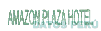 AMAZON PLAZA HOTEL