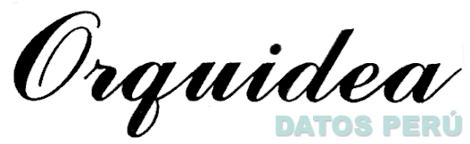 ORQUIDEA