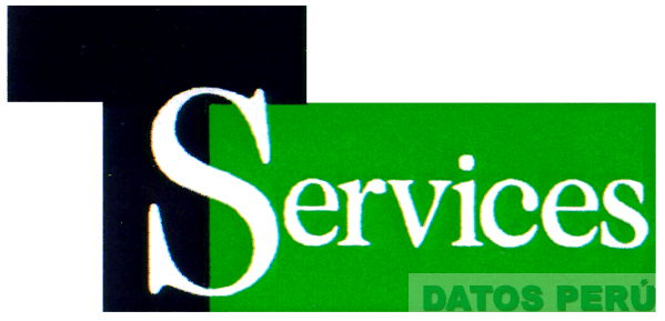 T SERVICES