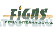 FIGAS FERIA INTERNACIONAL
