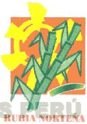 RUBIA NORTEÑA