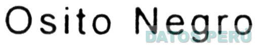 OSITO NEGRO