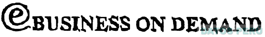 E BUSINESS ON DEMAND