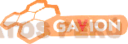 GAVION