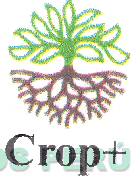 CROP+