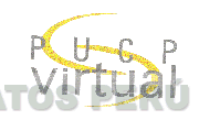 PUCP VIRTUAL