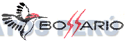 BOSSARIO