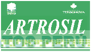 ARTROSIL LABORATORIOS TERBOL DIVISION TERBONOVA