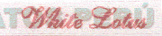 WHITE LOTUS