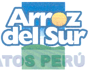 ARROZ DEL SUR
