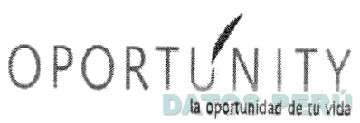 OPORTUNITY LA OPORTUNIDAD DE TU VIDA