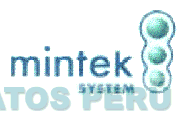 MINTEK SYSTEM