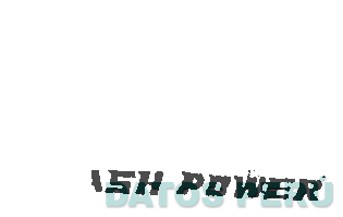 FLASH POWER