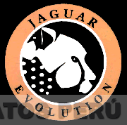 JAGUAR EVOLUTION