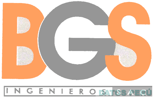 BGS INGENIEROS SAC