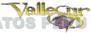 VALLESUR