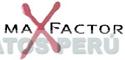 MAX FACTOR