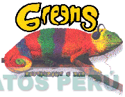 GREENS RESTAURANT E BAR