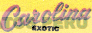 CAROLINA EXOTIC