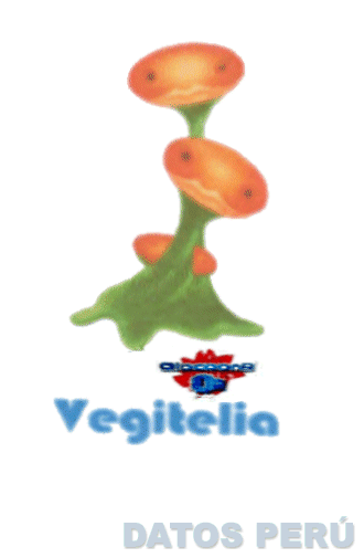 OLOCOONS O2 VEGITELIA