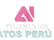 PEGAMENTOS SINTETICOS S.A.