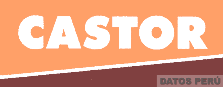 CASTOR