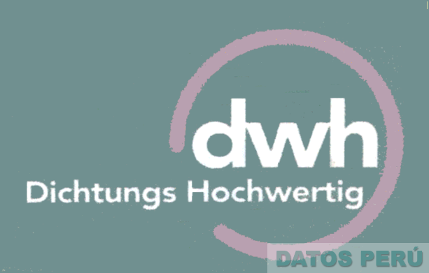 DWH DICHTUNGS HOCHWERTIG