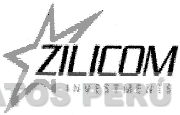 ZILICOM INVESTMENTS