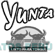 YUNTA LISTO PARA TOMAR