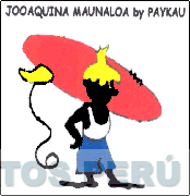 JOOAQUINA MAUNALOA BY PAYKAU