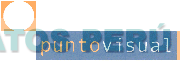 PUNTO VISUAL
