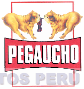 PEGAUCHO