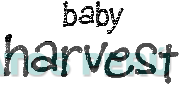 BABY HARVEST
