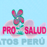 PRO SALUD