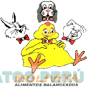 MOLIVITA ALIMENTOS BALANCEADOS