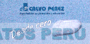 CP CALVO PEREZ ESPECIALISTAS EN FORMACION Y EDUCACION DESDE CERO