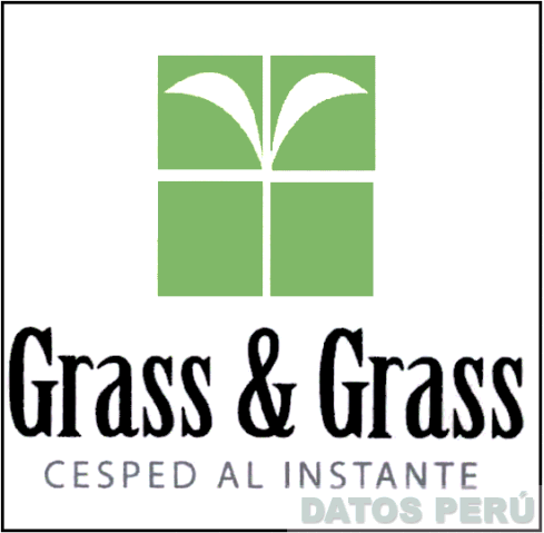 GRASS & GRASS CESPED AL INSTANTE