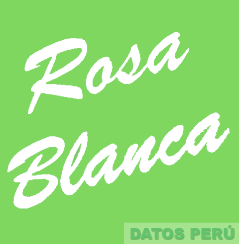 ROSA BLANCA