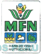 MFN MANEJO FISIO NUTRICIONAL