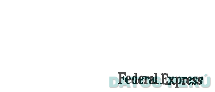 FEDEX FEDERAL EXPRESS