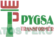 P PYGSA TRANSFORMER