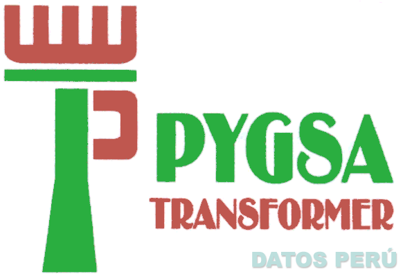 P PYGSA TRANSFORMER