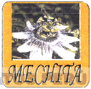 MECHITA