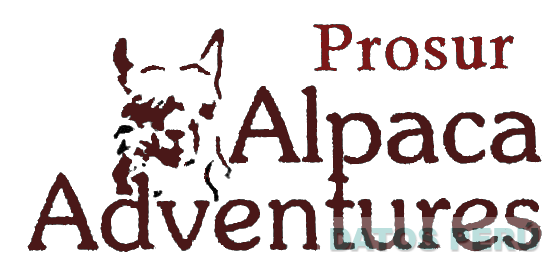 PROSUR ALPACA ADVENTURES
