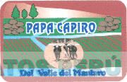 PAPA CAPIRO DEL VALLE DEL MANTARO